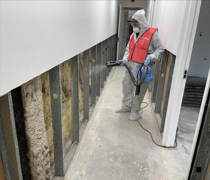 SERVPRO employee applying mold abatement treatments to an open wall